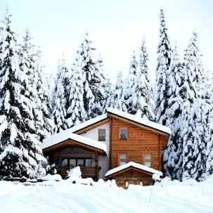 5 Reasons Why You Need Pest Control In Winter