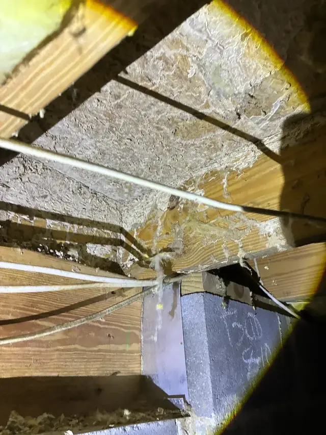 Termite mud tubes and damage crossing crawl-space joists and subfloor framing.
