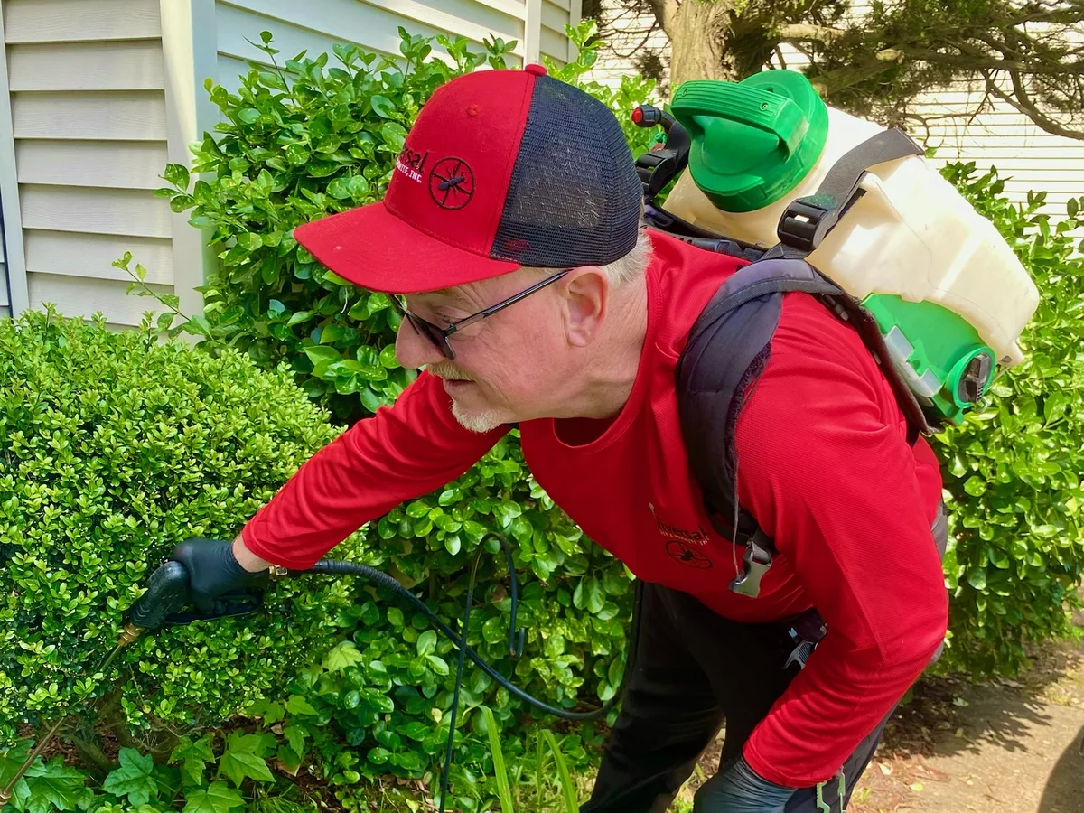 David Shafer, Lead Inspector at Universal Pest & Termite, treating the shrub line along the foundation of a Hampton Roads home