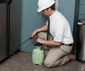 Regular pest control visits 
