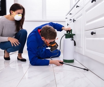 DIY or Hire a Pro for Pest Control