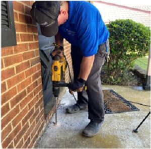 termite control virginia