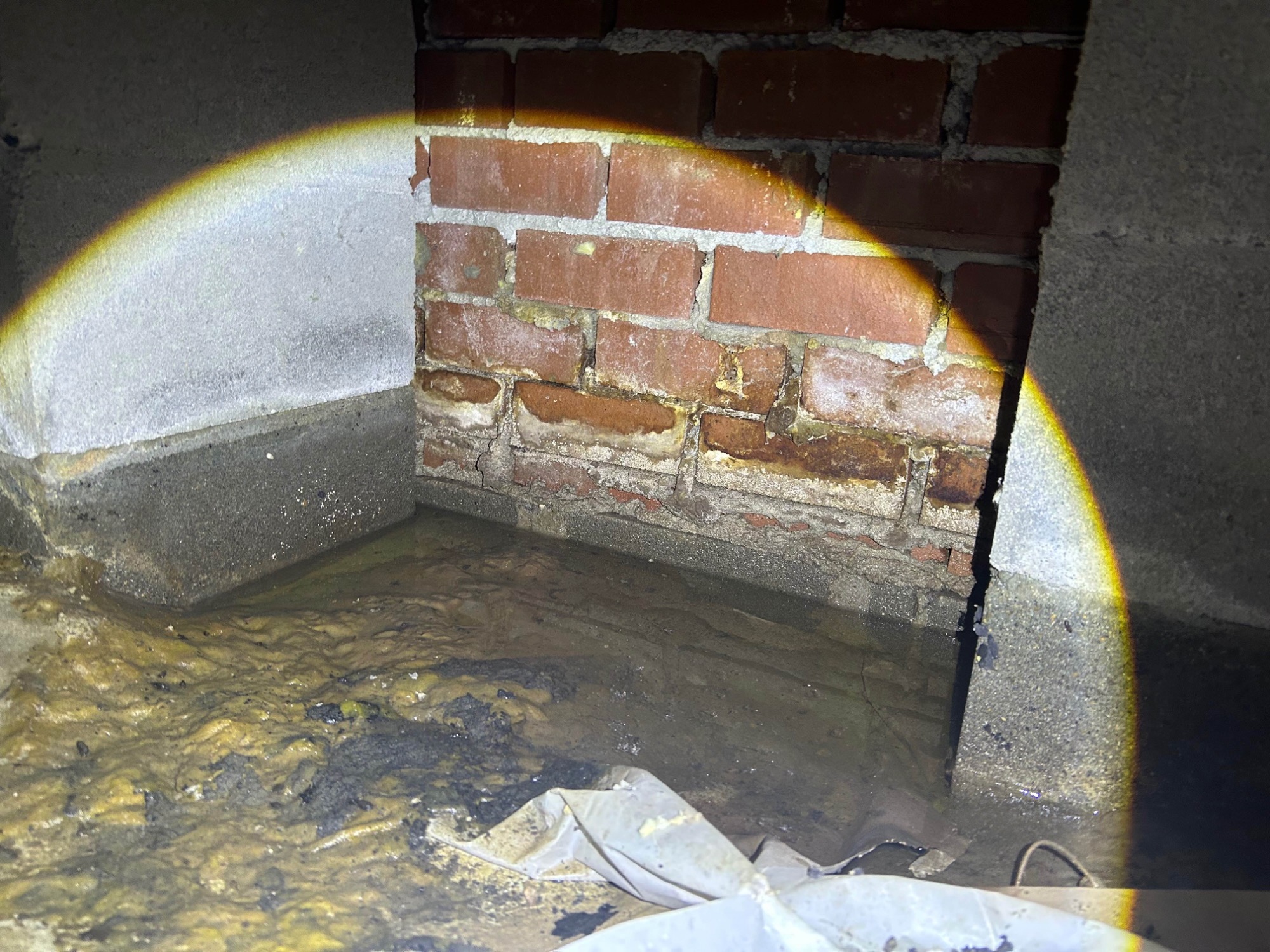 Standing water under a home in the Princess Anne area of Virginia Beach. Picture taken by Universal Pest & Termite