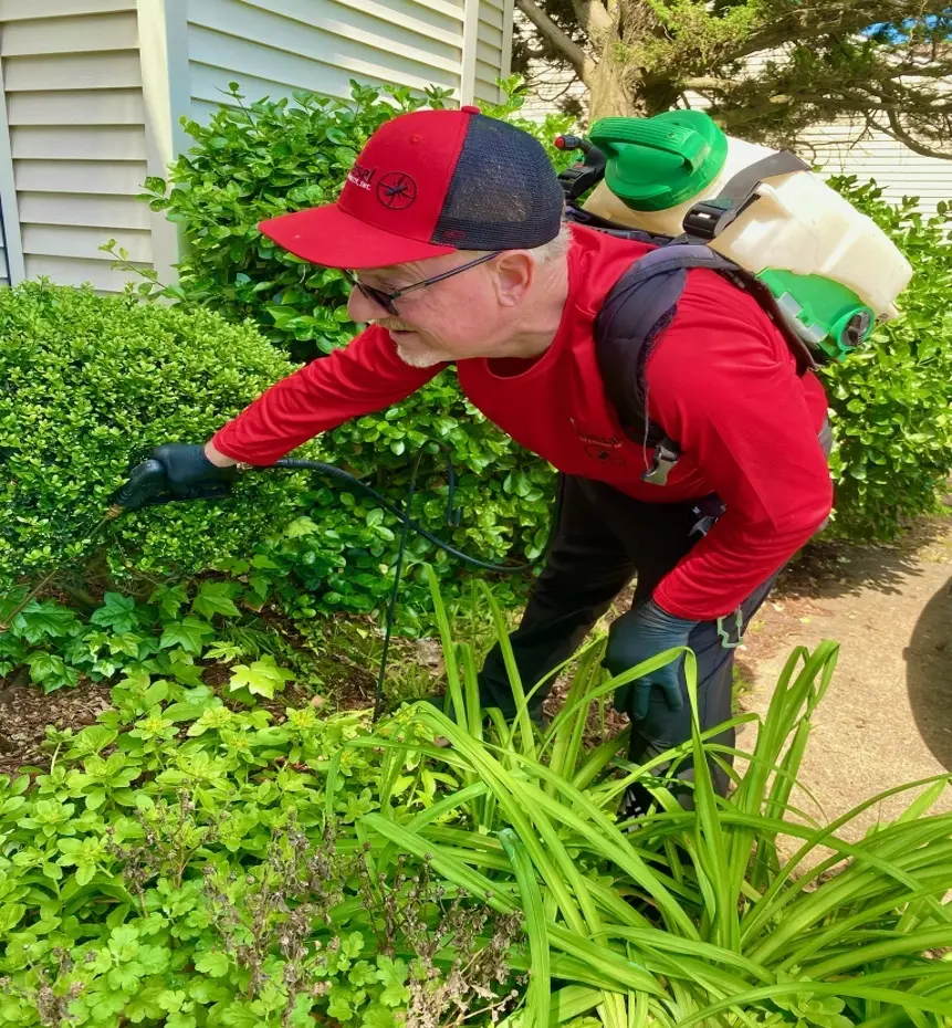 A Universal Pest & Termite technician applying an outdoor barrier and ant prevention treatment to beachside landscaping in the Oceanfront district of Virginia Beach