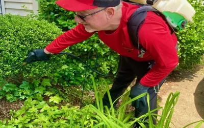 A Universal Pest & Termite technician applying an outdoor barrier and ant prevention treatment to beachside landscaping in the Oceanfront district of Virginia Beach
