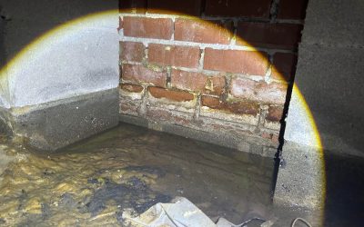 Standing water under a home in the Princess Anne area of Virginia Beach. Picture taken by Universal Pest & Termite