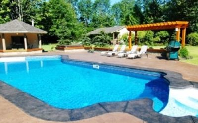 Why Are There Termites in My Pool?